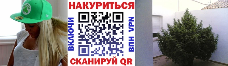 Какие есть наркотики Петрозаводск МАРИХУАНА  Кокаин  Гашиш  Псилоцибиновые грибы  Мефедрон  A PVP  Амфетамин 