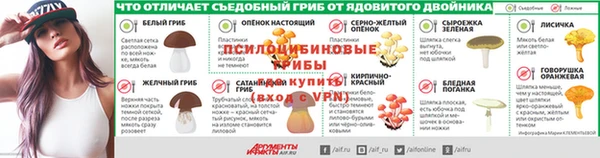 амф Алексин