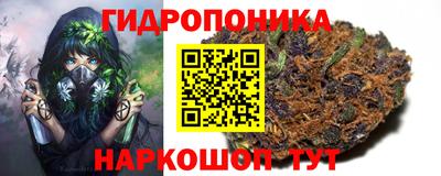 крисы Обнинск
