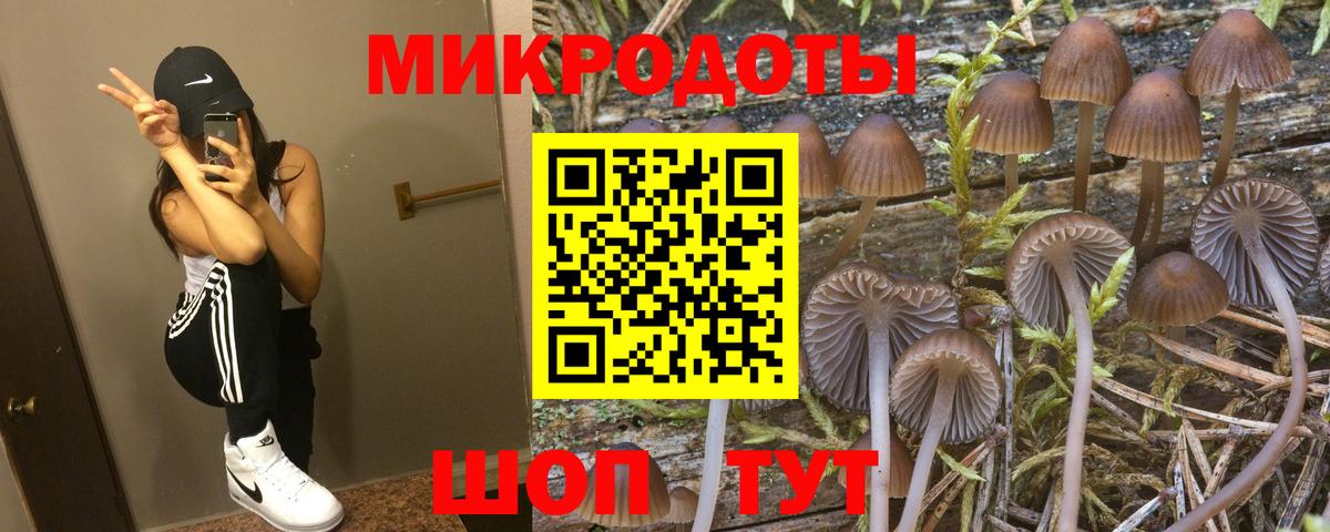 Петрозаводск  Псилоцибиновые грибы мицелий  Галлюциногенные грибы ЛСД  Вход с VPN 