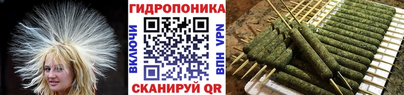 Бошки Шишки конопля  что такое   гидра рабочий сайт  Петрозаводск 